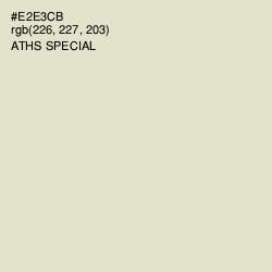 #E2E3CB - Aths Special Color Image